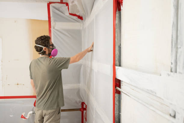 Best Emergency Mold Remediation  in Ganado, TX